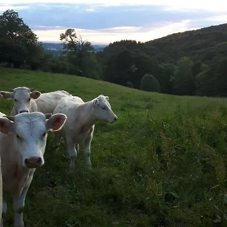 Parque de Campismo Les Plans Saint-Clement (Allier)