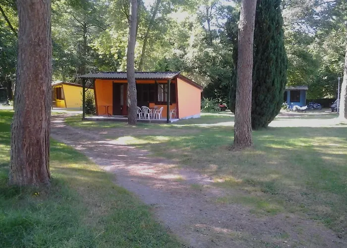 Les Plans Saint-Clement (Allier)